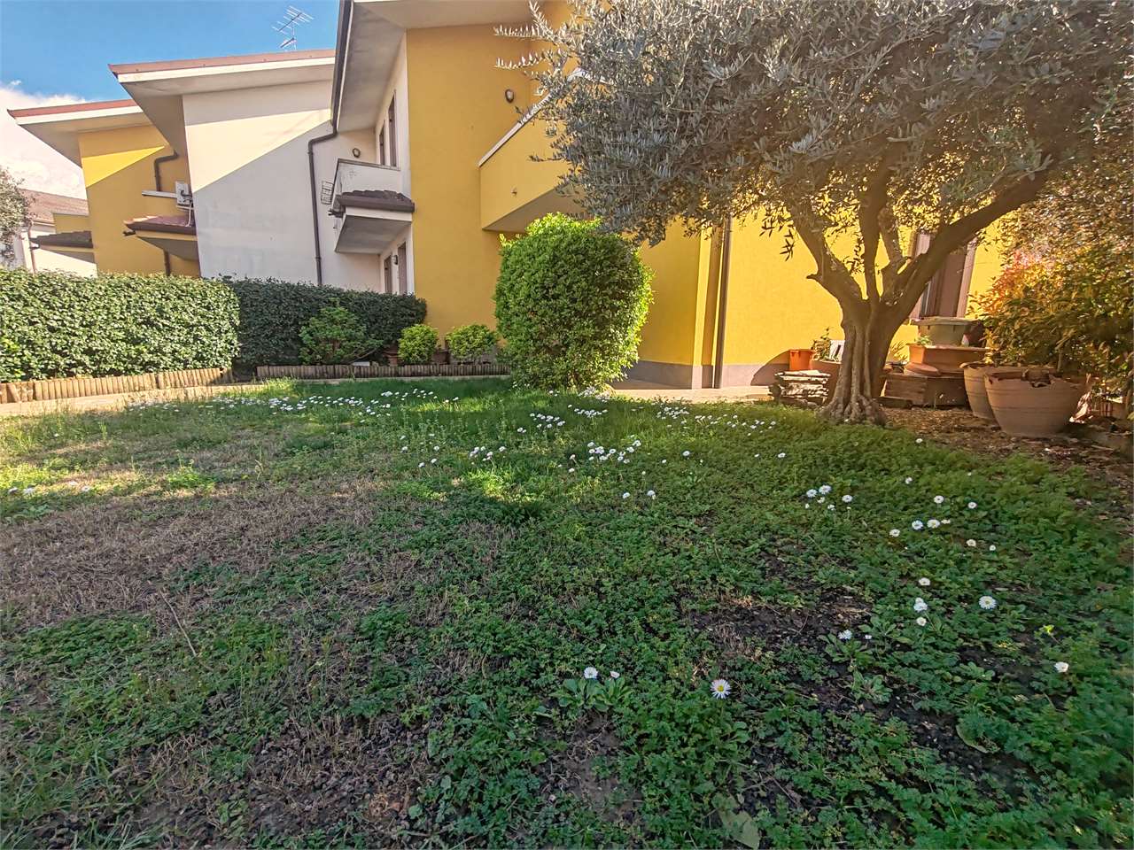 immagine annuncio 3 di 15