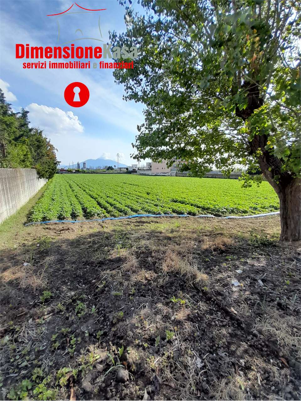 Fotografia Terreno Agricolo piccola 1