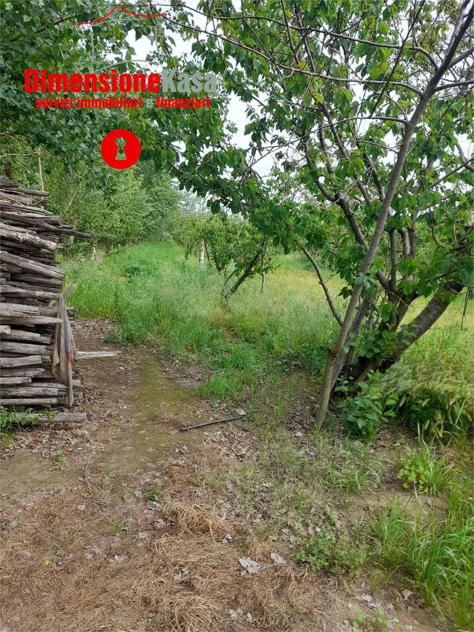 Fotografia Terreno Agricolo piccola 2