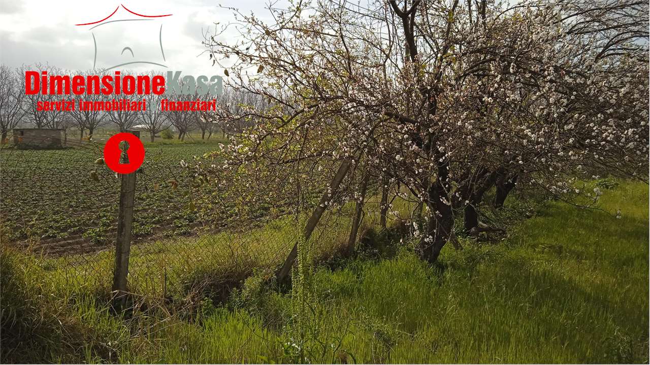 Fotografia Terreno Agricolo piccola 2