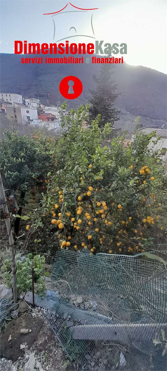 Porzione di casa in vendita a Talanico, San Felice A Cancello (CE)