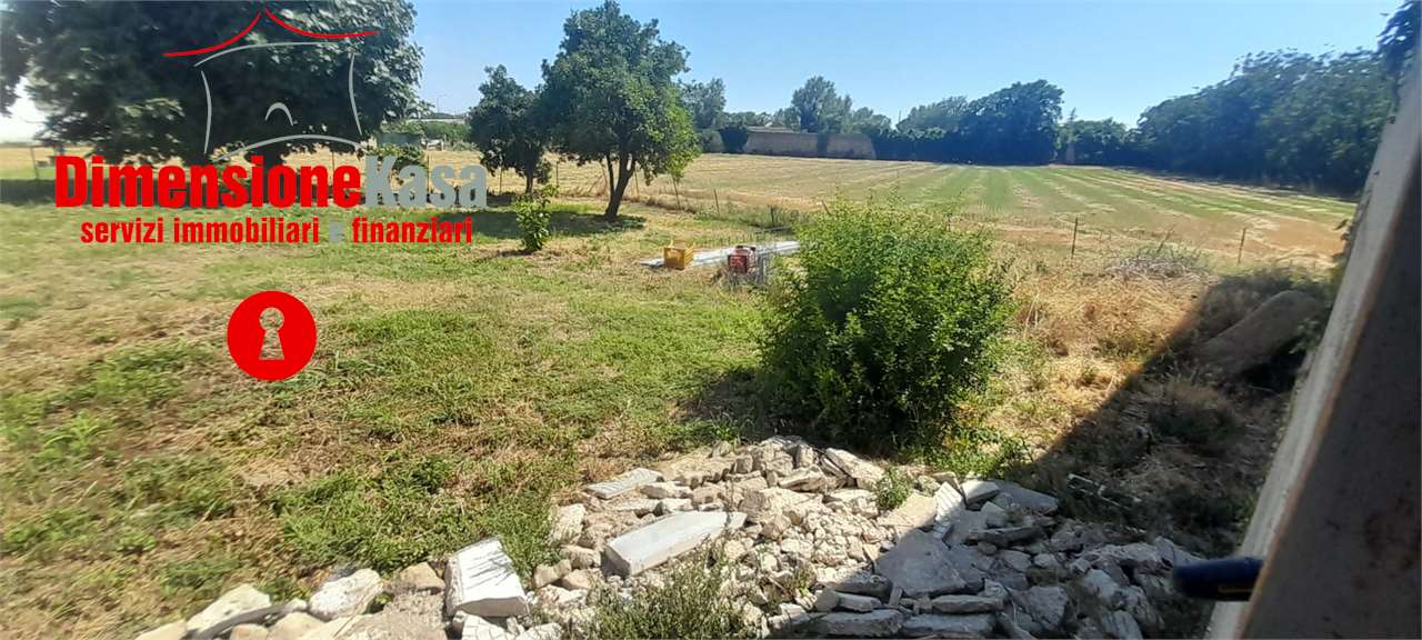 San Felice a Cancello Affitto Terreno