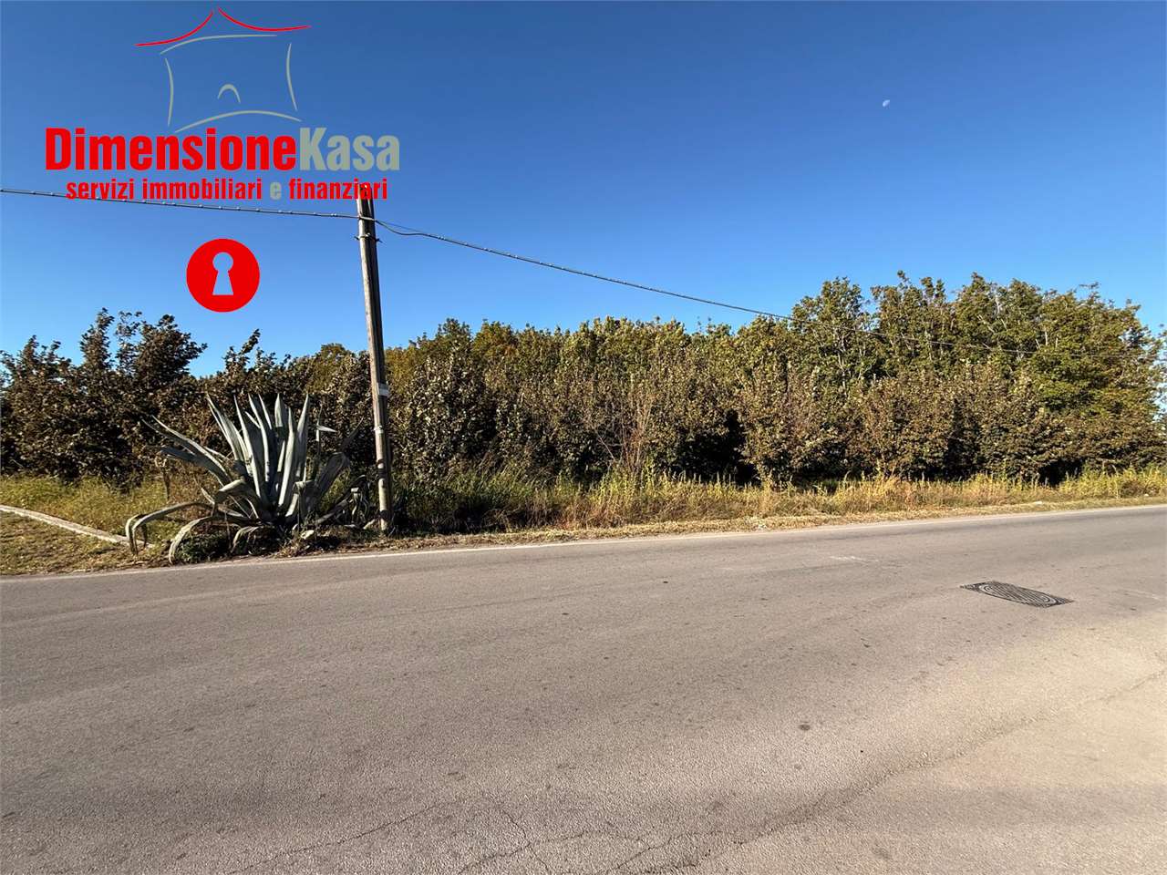 Cimitile Vendita Terreno Agricolo