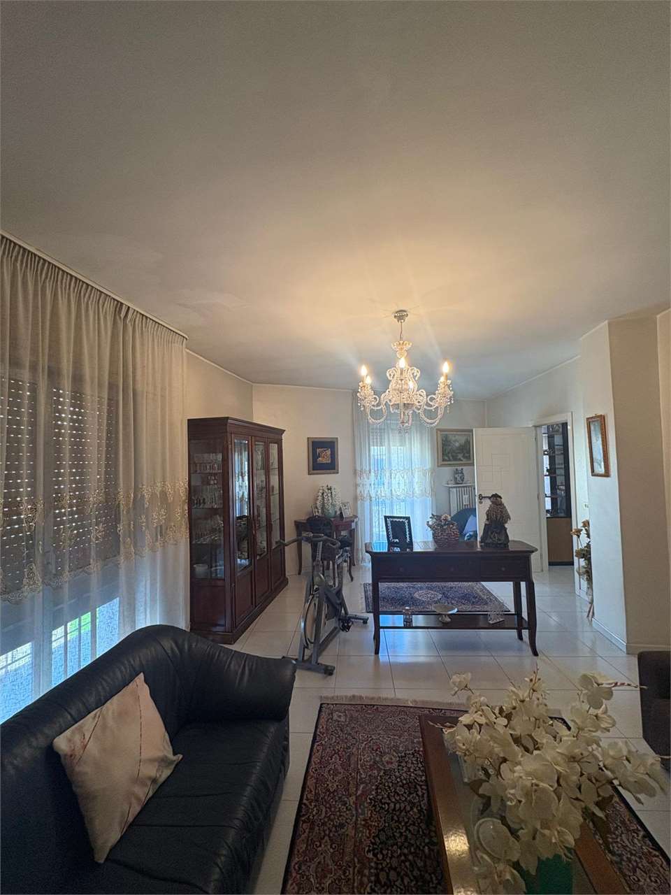 immagine annuncio 11 di 14