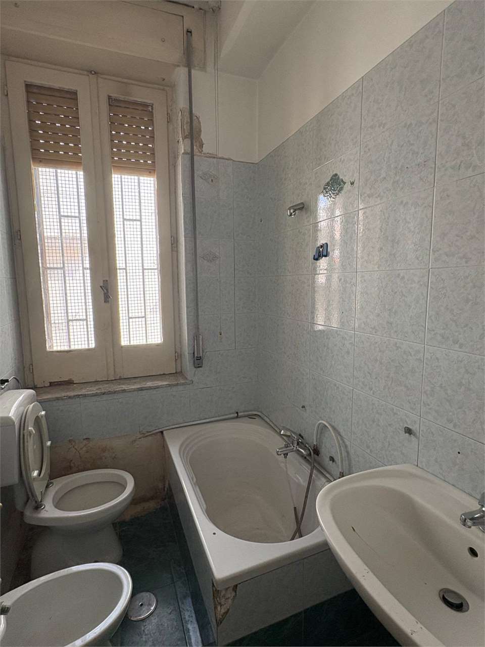 immagine annuncio 7 di 14