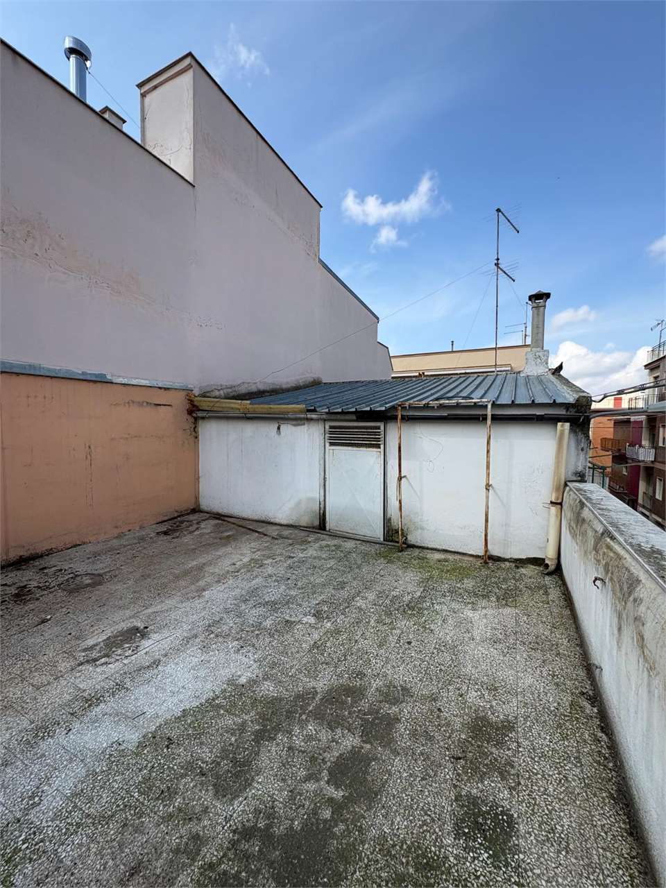 immagine annuncio 10 di 14