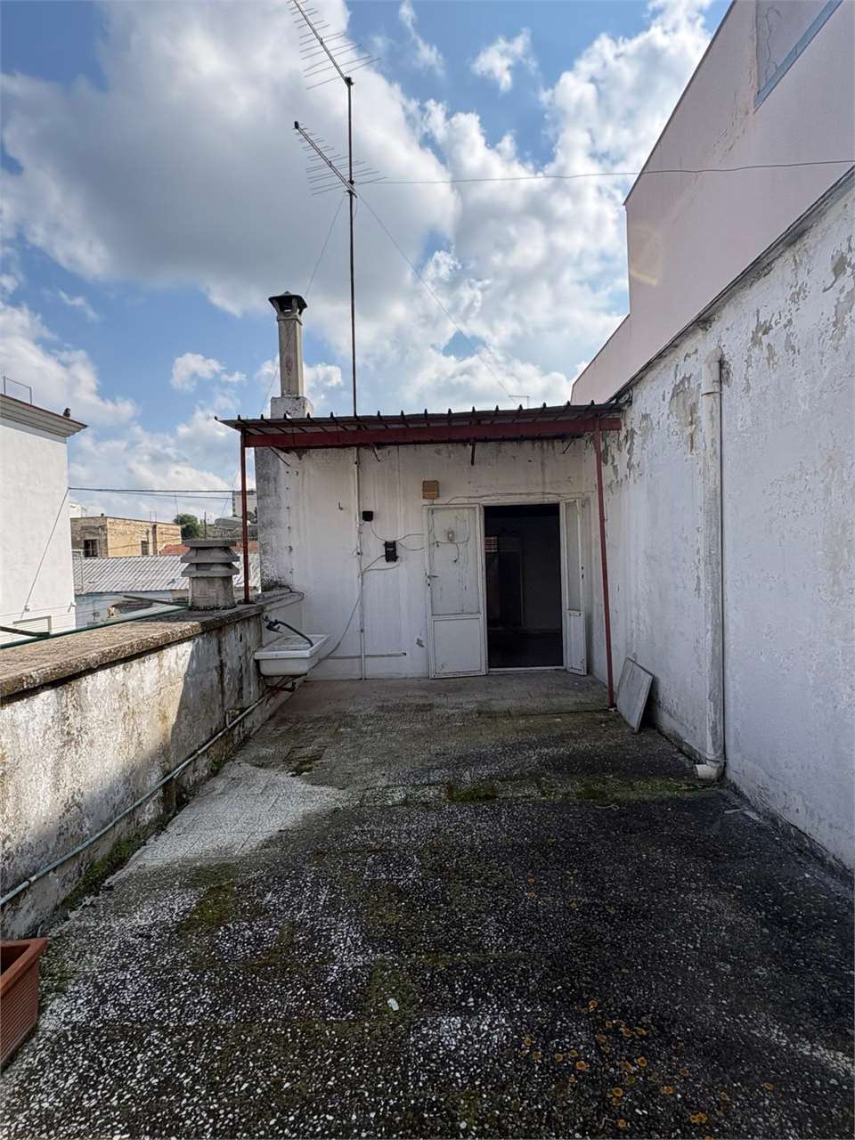 immagine annuncio 11 di 14