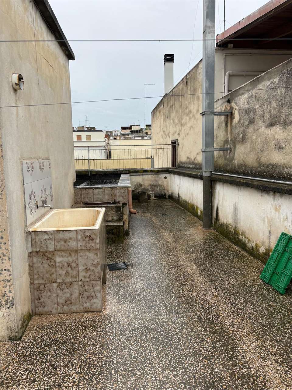 immagine annuncio 9 di 14