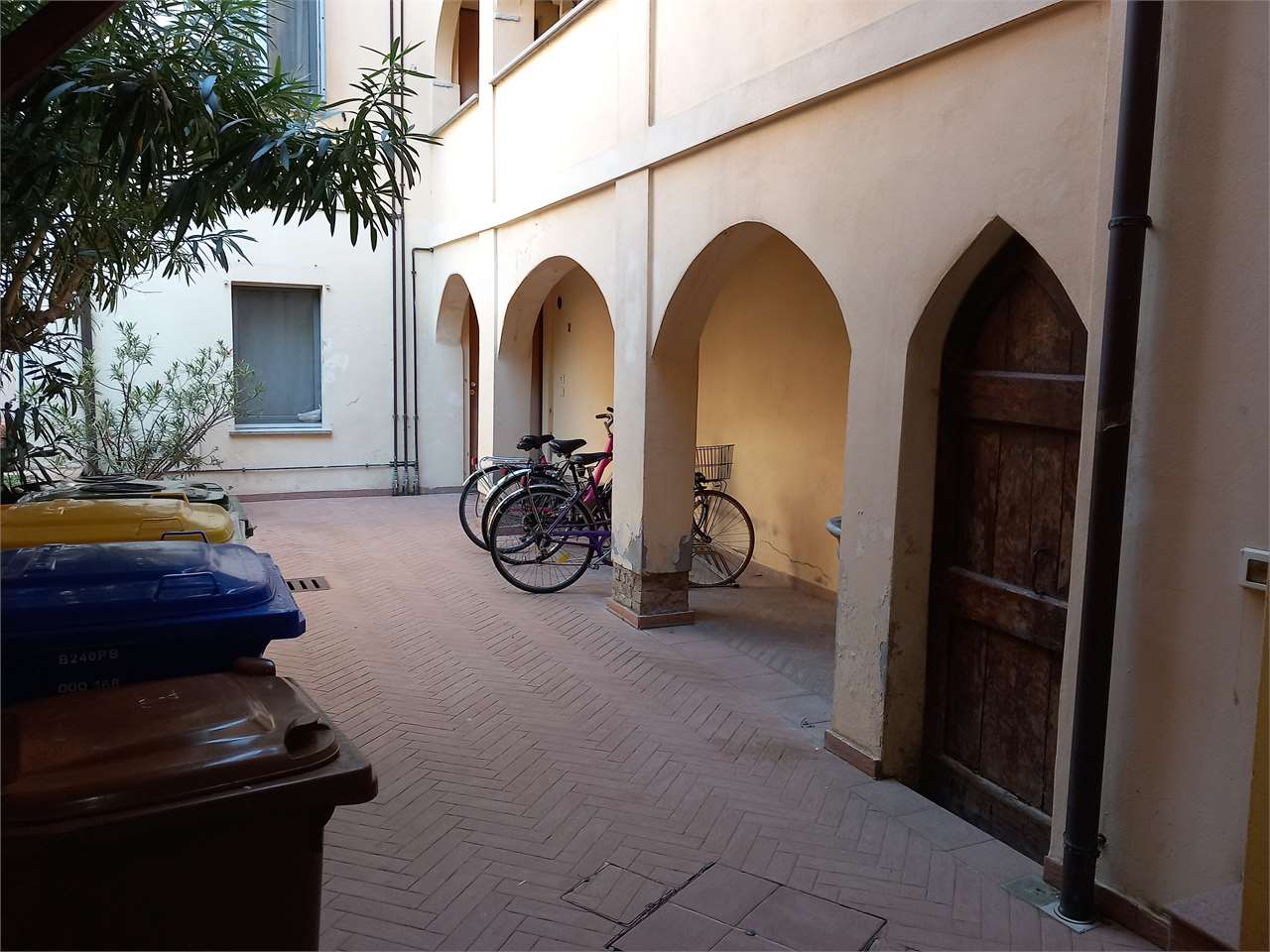 immagine annuncio 13 di 14