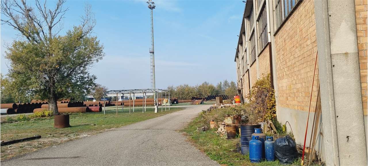 immagine annuncio 11 di 15