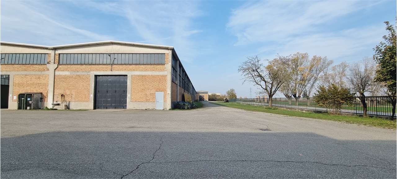 immagine annuncio 14 di 15