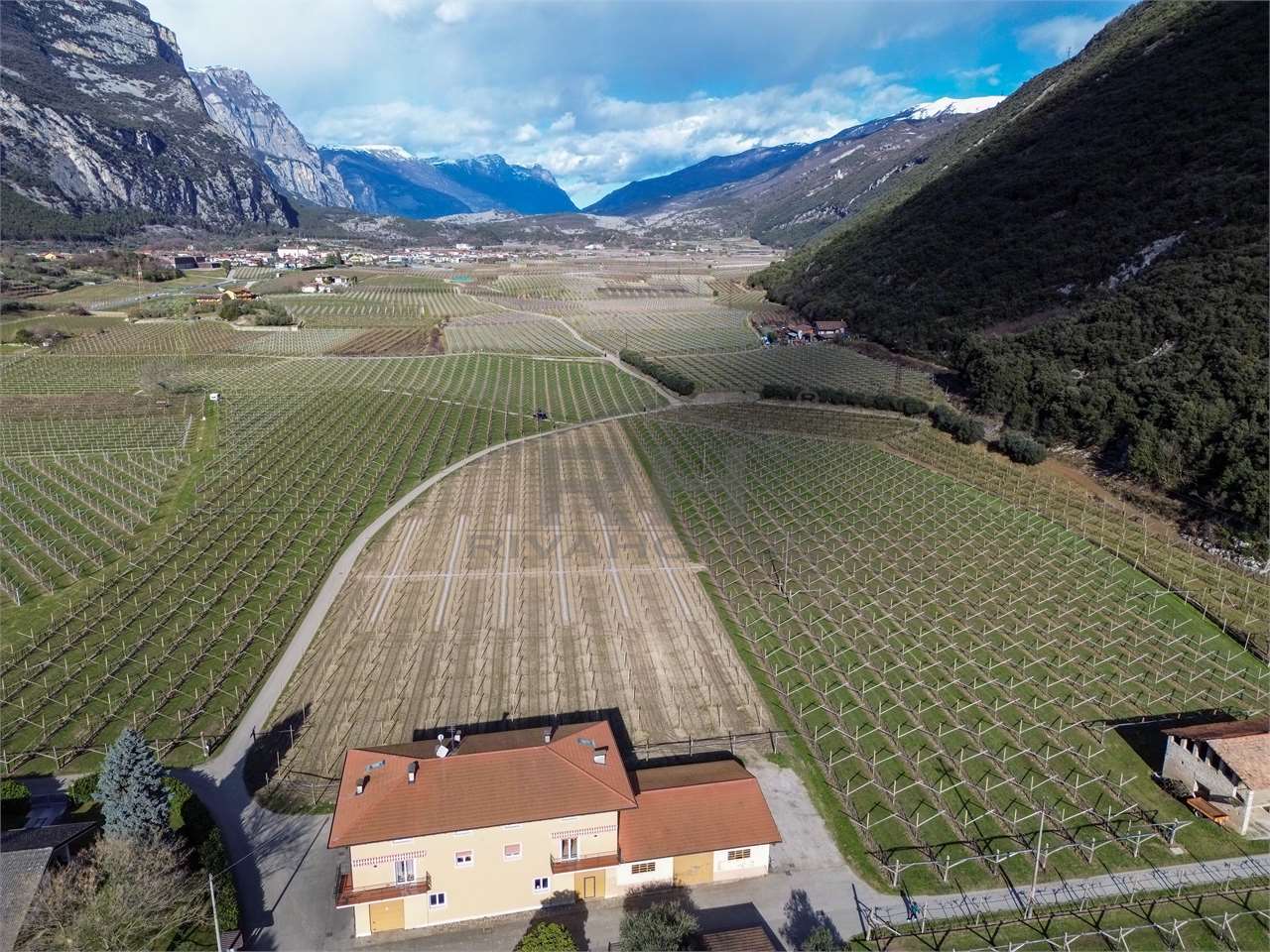 REF. 24 – 11-HECTARE WINE ESTATE WITH MANOR HOUSE