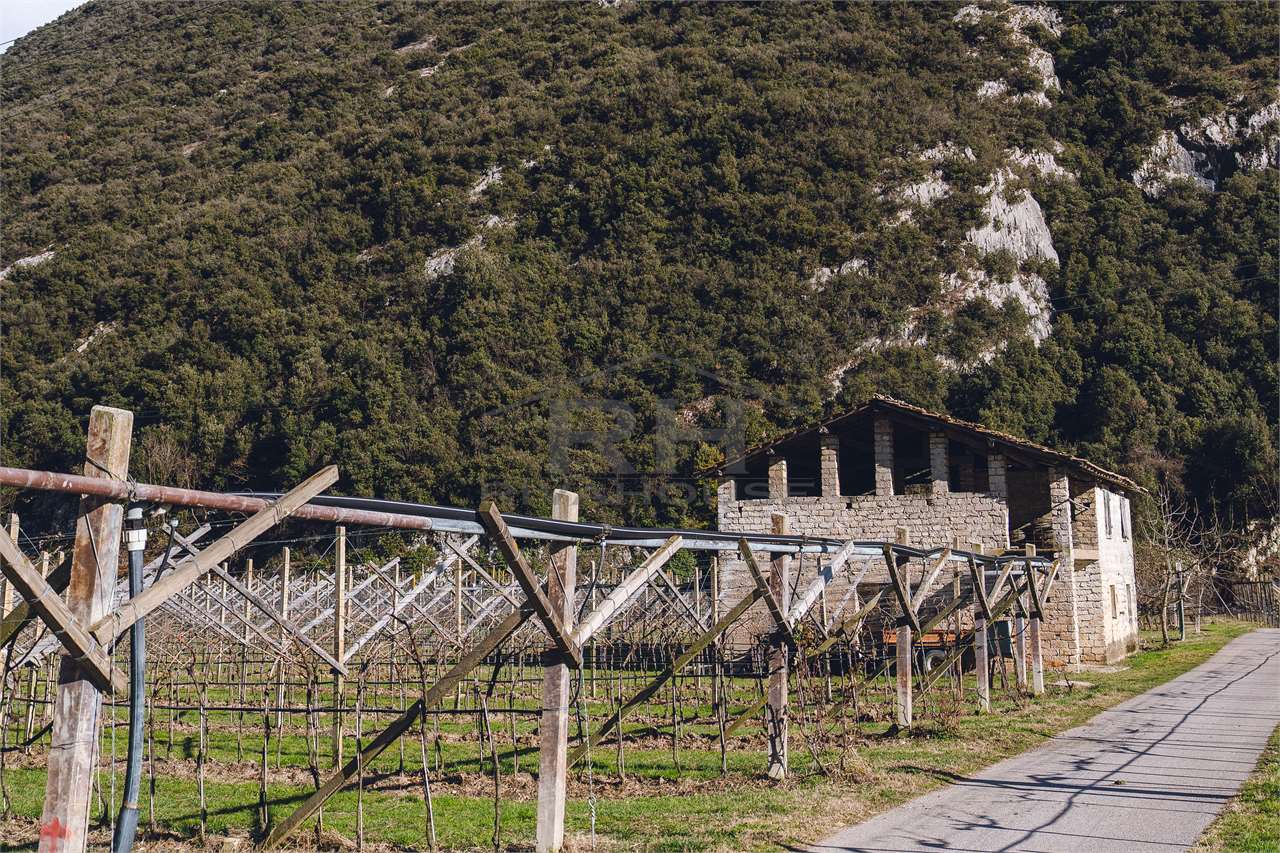 REF. 24 – 11-HECTARE WINE ESTATE WITH MANOR HOUSE