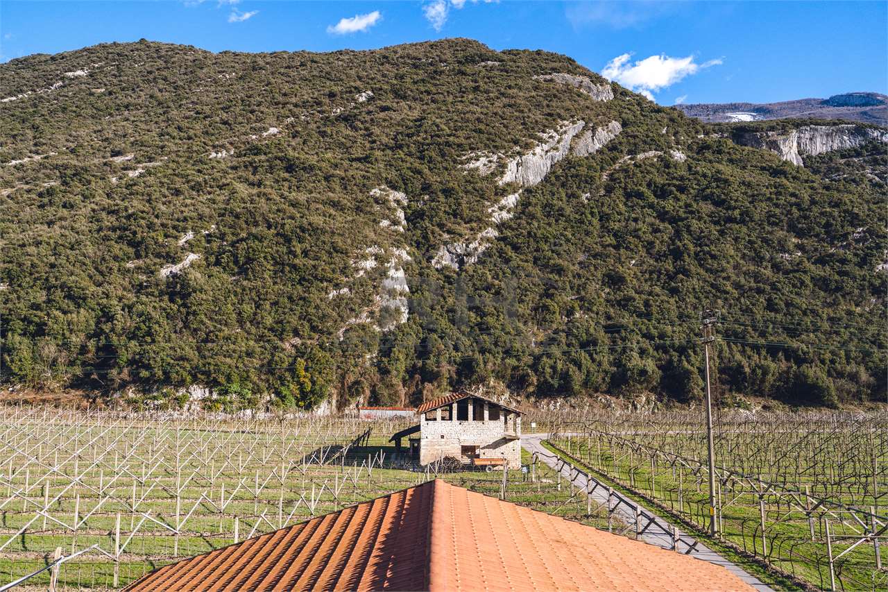 REF. 24 – 11-HECTARE WINE ESTATE WITH MANOR HOUSE