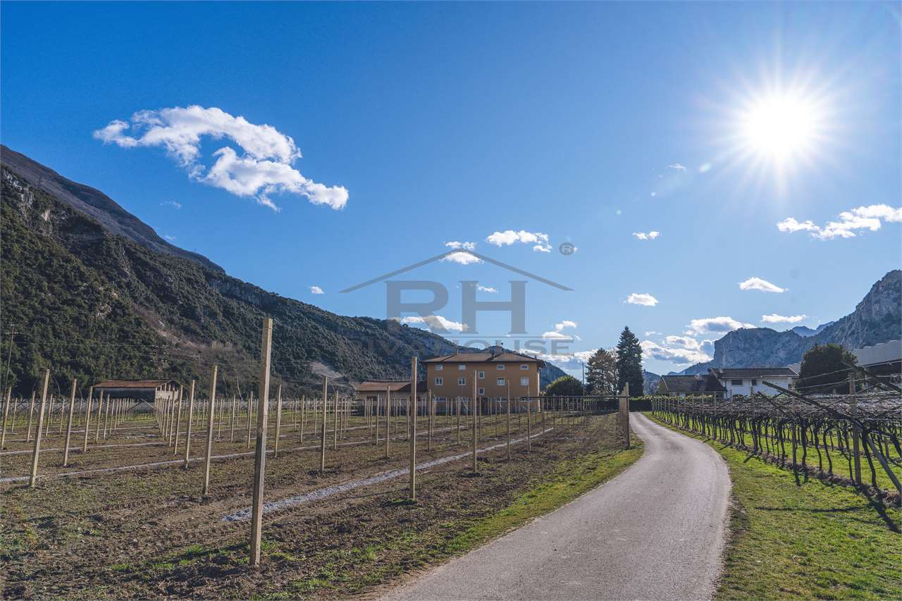 REF. 24 – 11-HECTARE WINE ESTATE WITH MANOR HOUSE