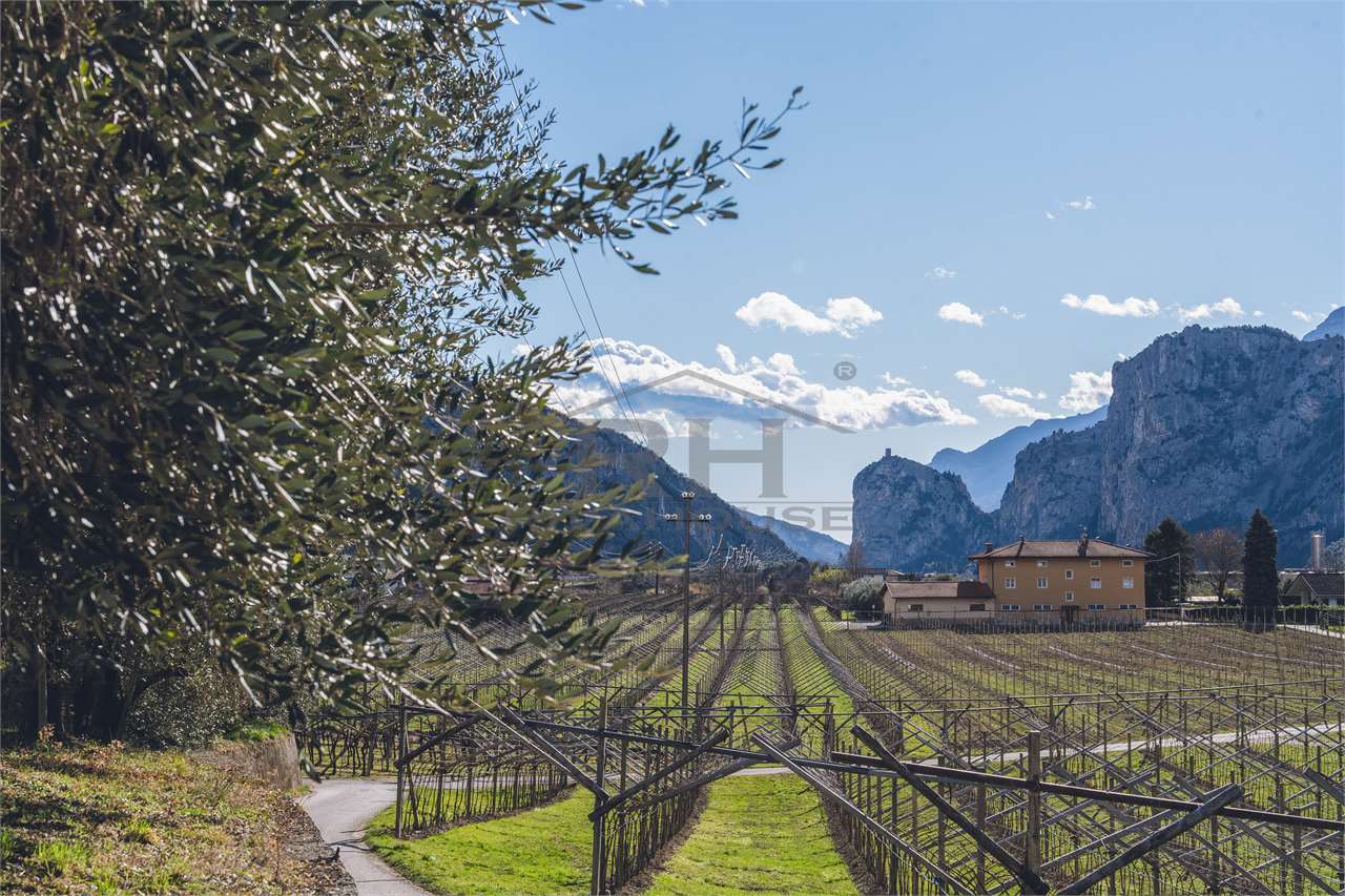 REF. 24 – 11-HECTARE WINE ESTATE WITH MANOR HOUSE