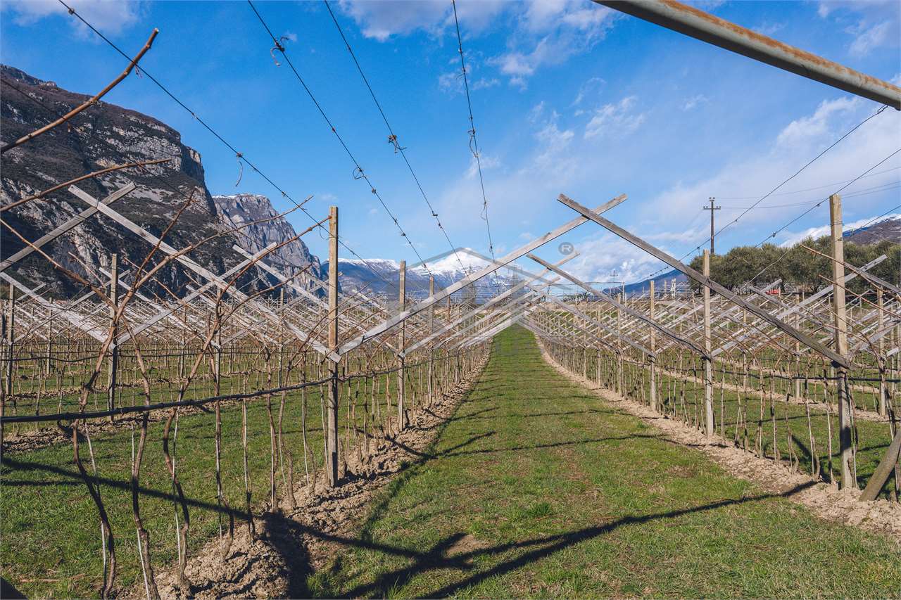 REF. 24 – 11-HECTARE WINE ESTATE WITH MANOR HOUSE