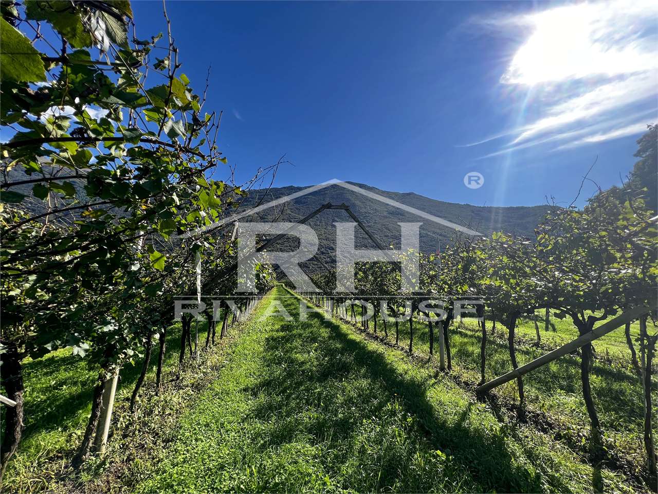 RIF. 28_1 - INTERESSANTE TERRENO AGRICOLO