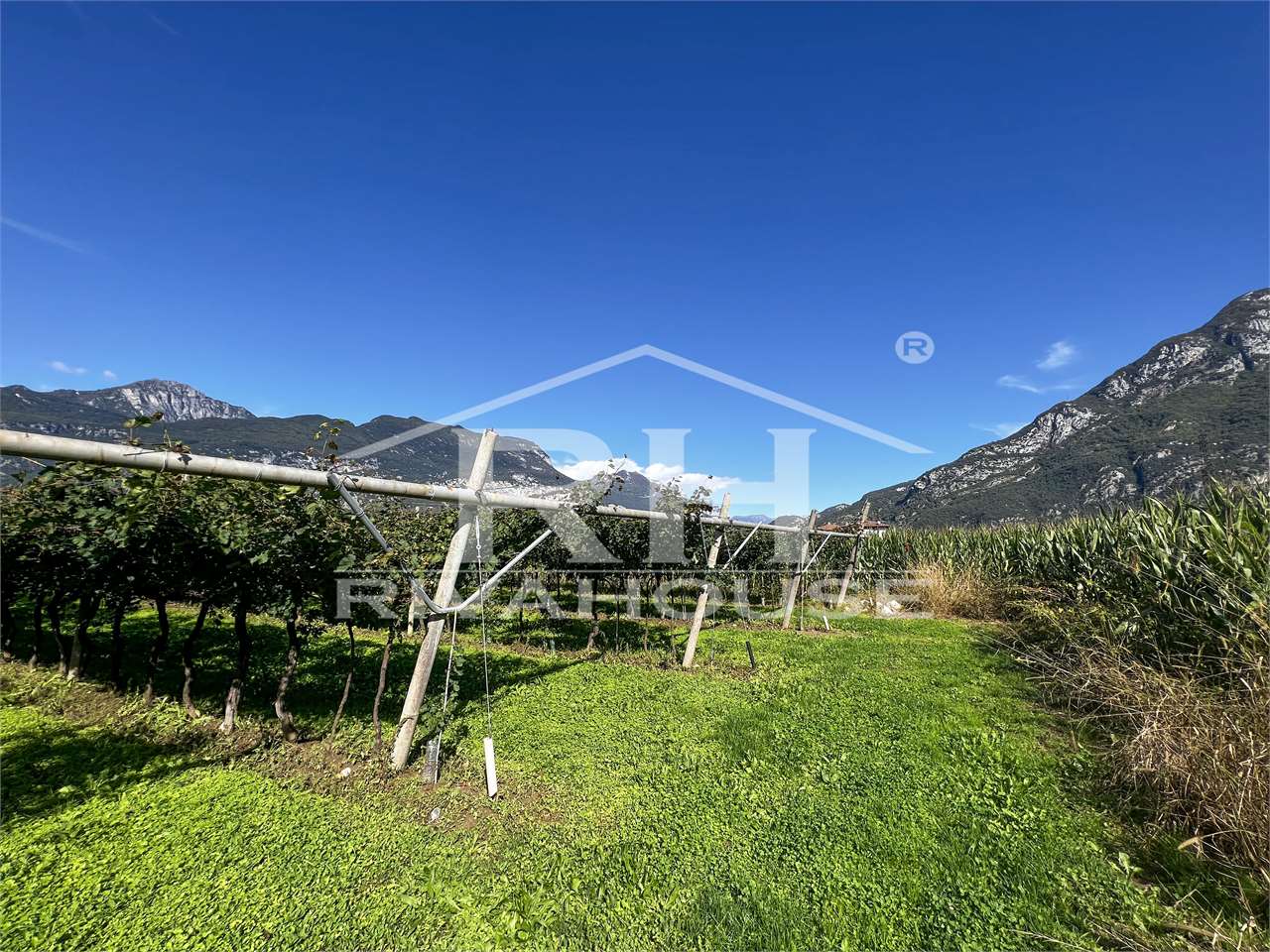 RIF. 28_1 - INTERESSANTE TERRENO AGRICOLO