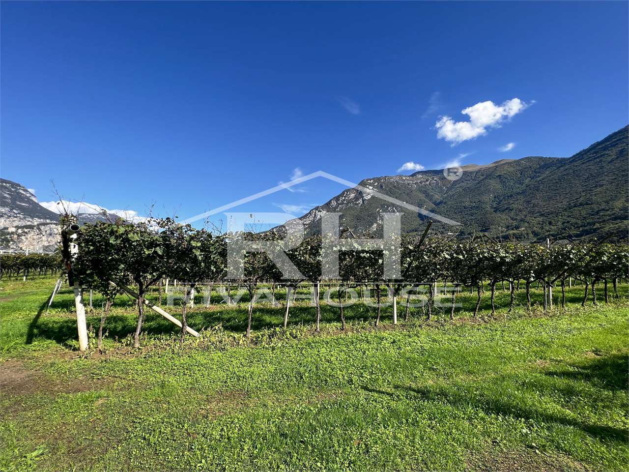 RIF. 28_1 - INTERESSANTE TERRENO AGRICOLO