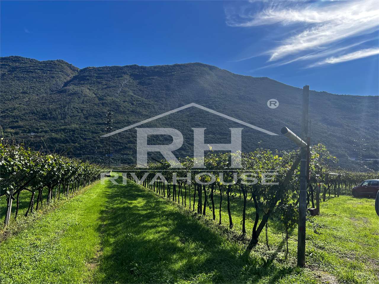 RIF. 28_1 - INTERESSANTE TERRENO AGRICOLO