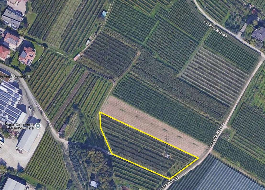 RIF. 28_1 - INTERESSANTE TERRENO AGRICOLO