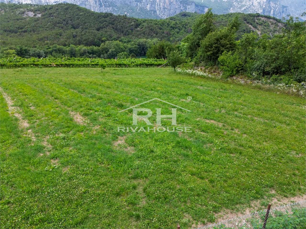 RIF. 19 - TERRENO EDIFICABILE VISTA LAGO