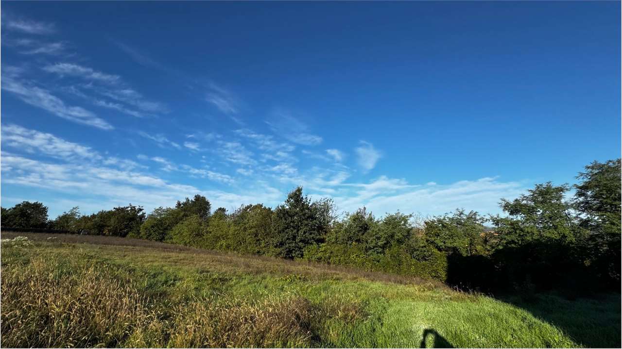 Vendita Rustico/Casale/Castello Casa/Villa Masio 551288