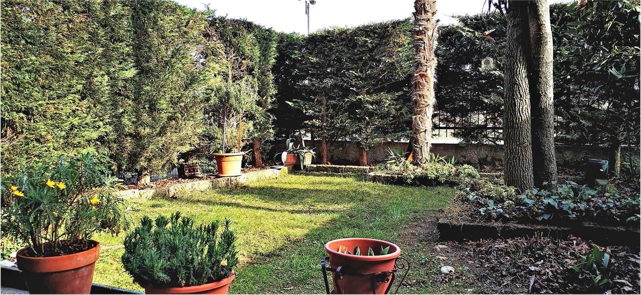 immagine annuncio 3 di 15