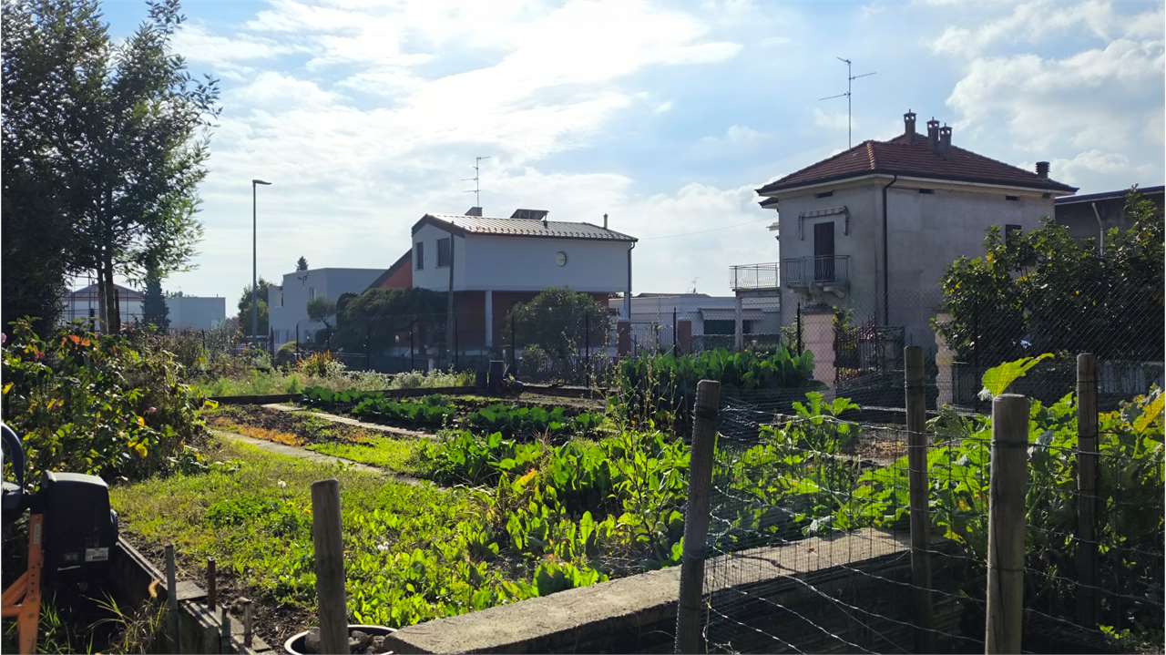 immagine annuncio 4 di 11