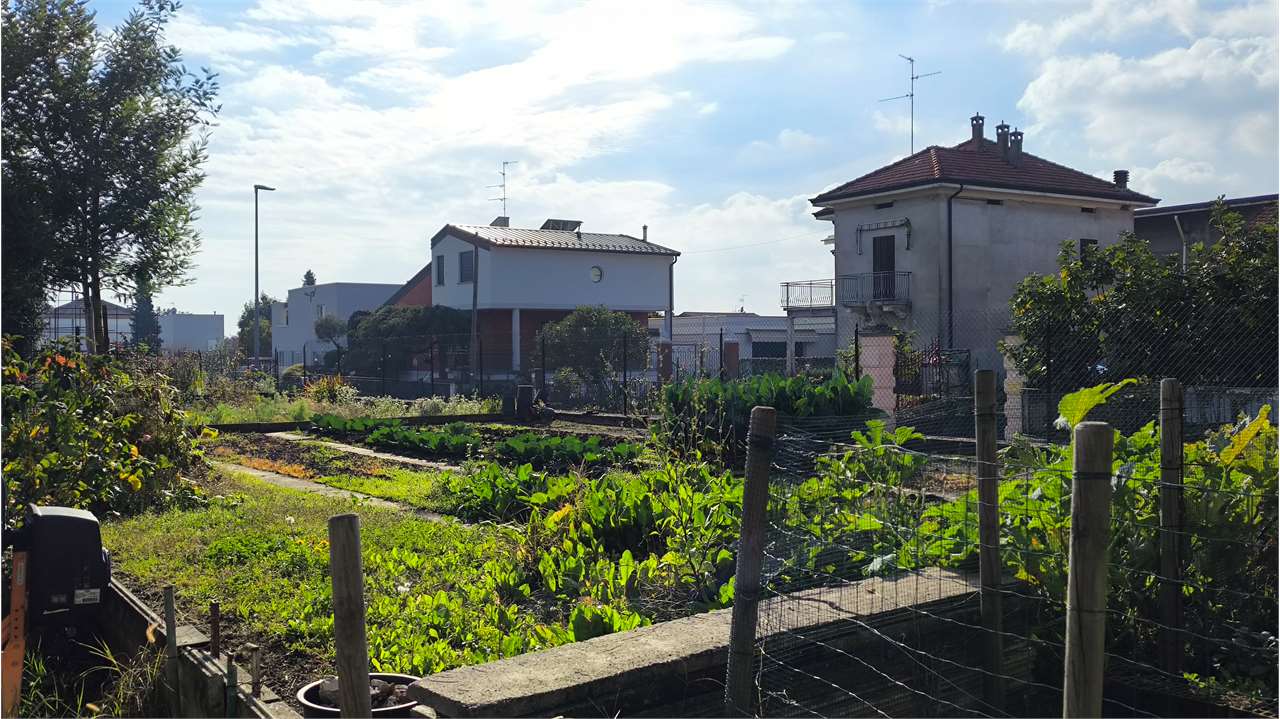 immagine annuncio 5 di 11