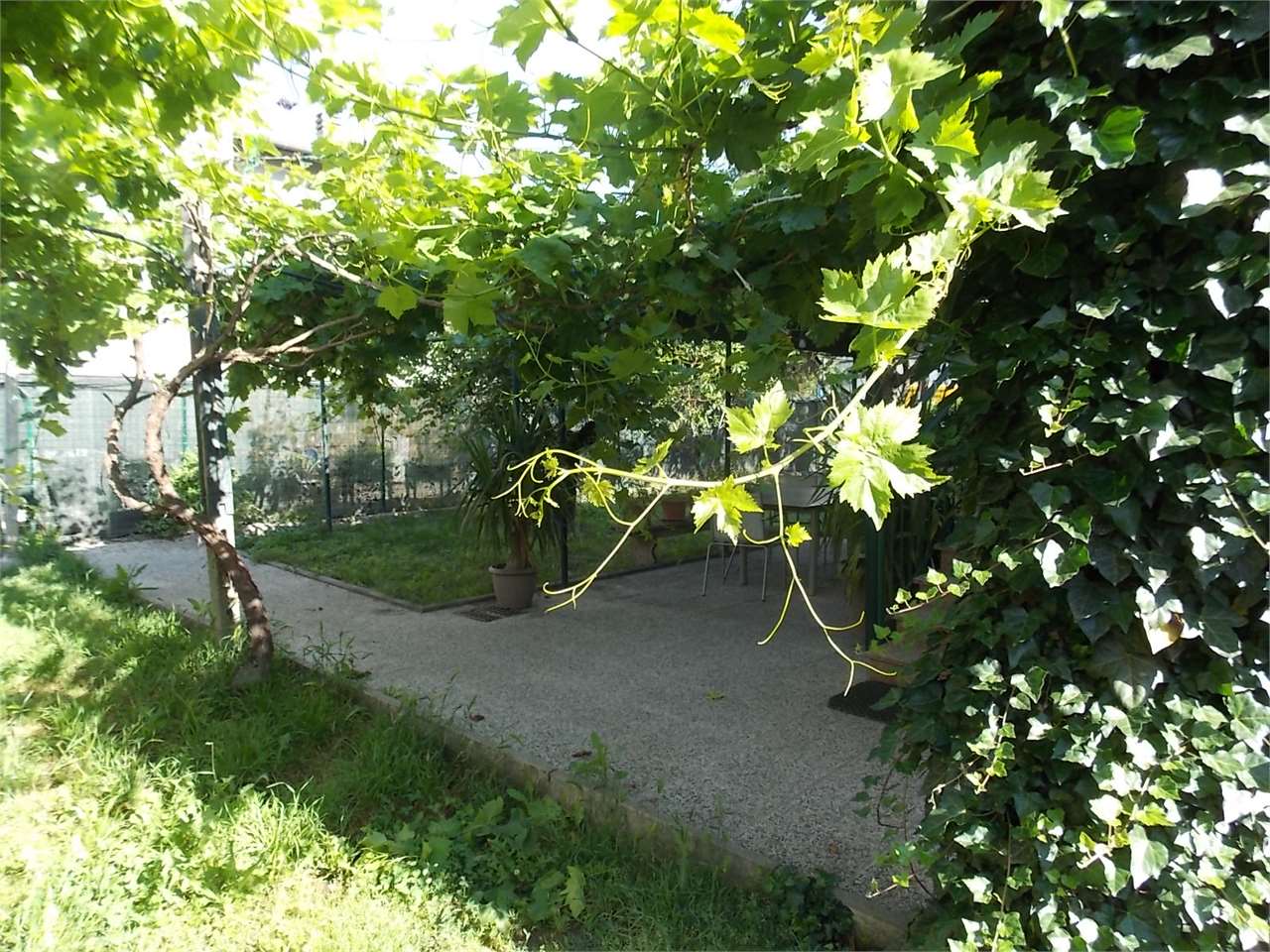 immagine annuncio 2 di 14