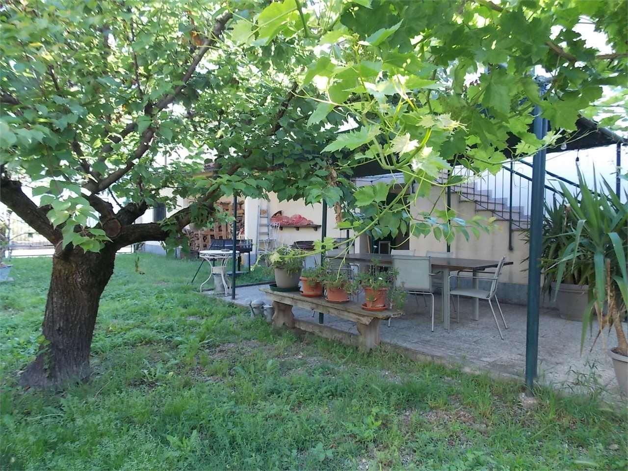 immagine annuncio 1 di 14