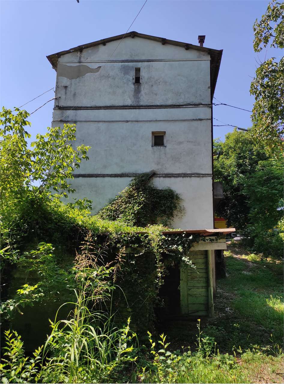 immagine annuncio 6 di 11