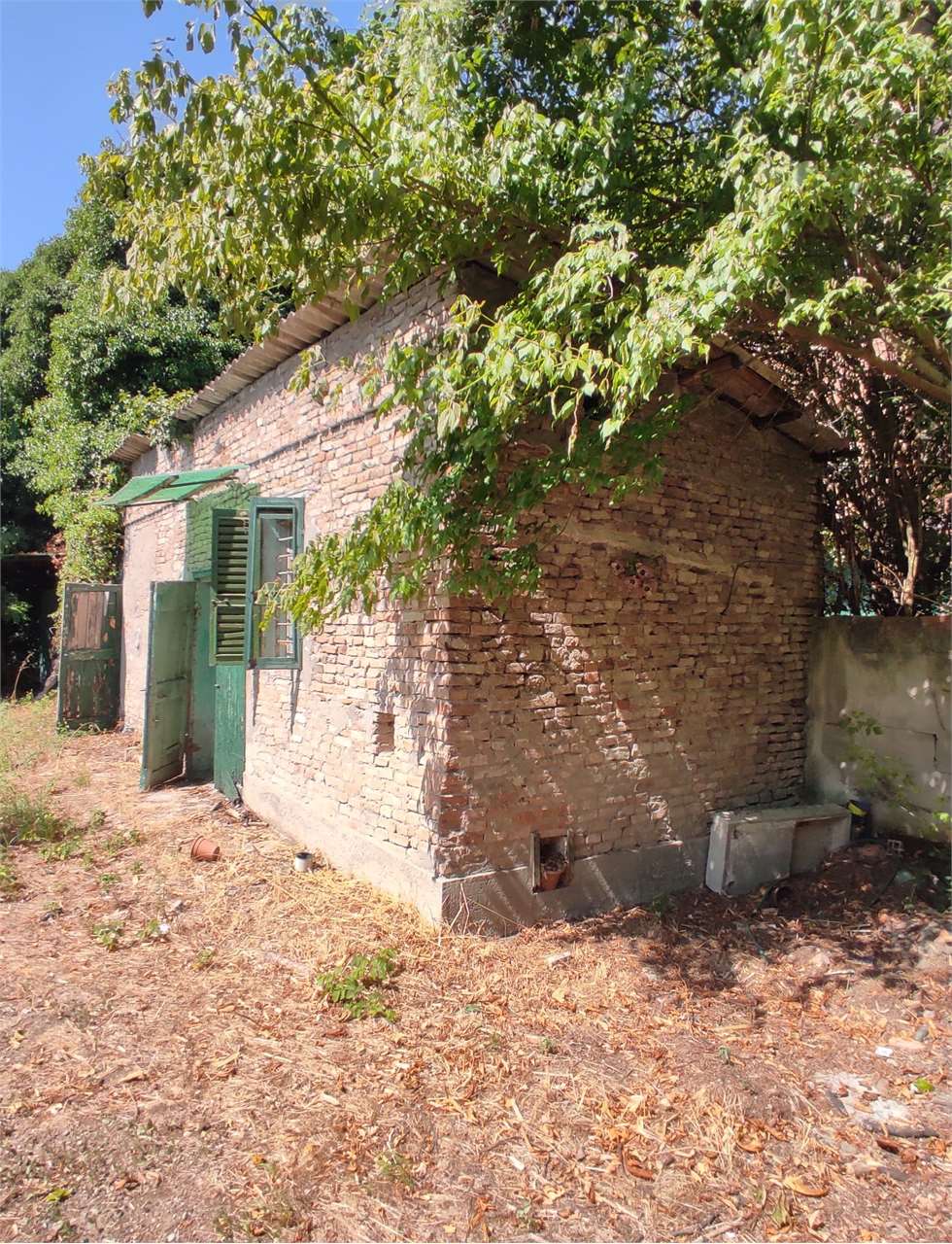 immagine annuncio 7 di 11