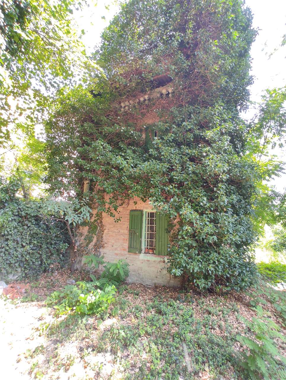 immagine annuncio 8 di 11