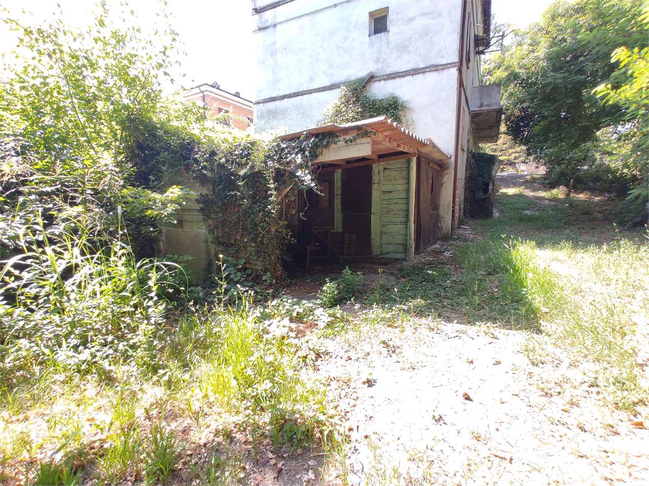 immagine annuncio 5 di 11