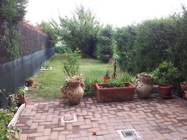 immagine annuncio 1 di 12