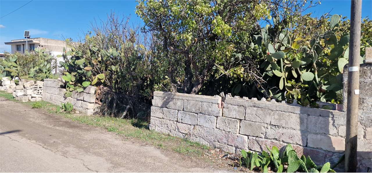 VENDITE Terreni a San Donaci – foto 1