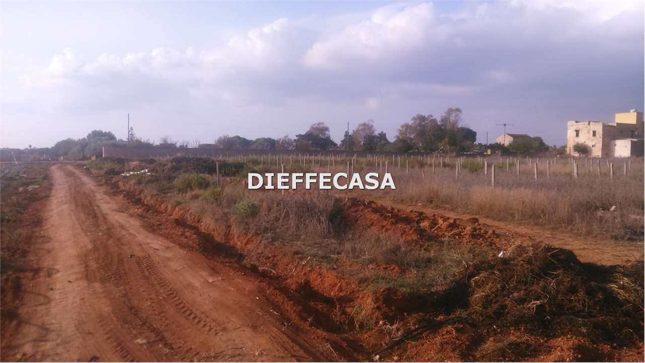 Fotografia Terreno Agricolo piccola 1