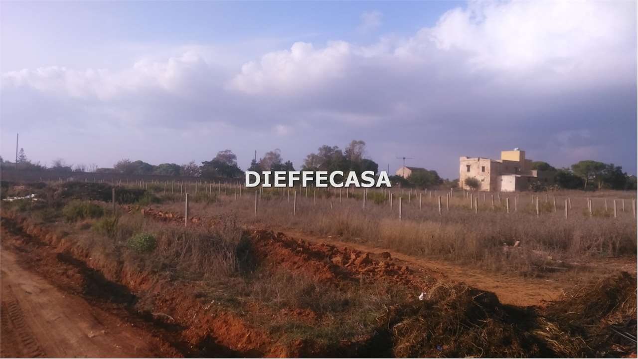 Fotografia Terreno Agricolo piccola 2