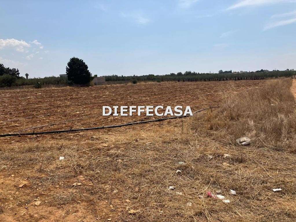 Fotografia Terreno Agricolo piccola 1