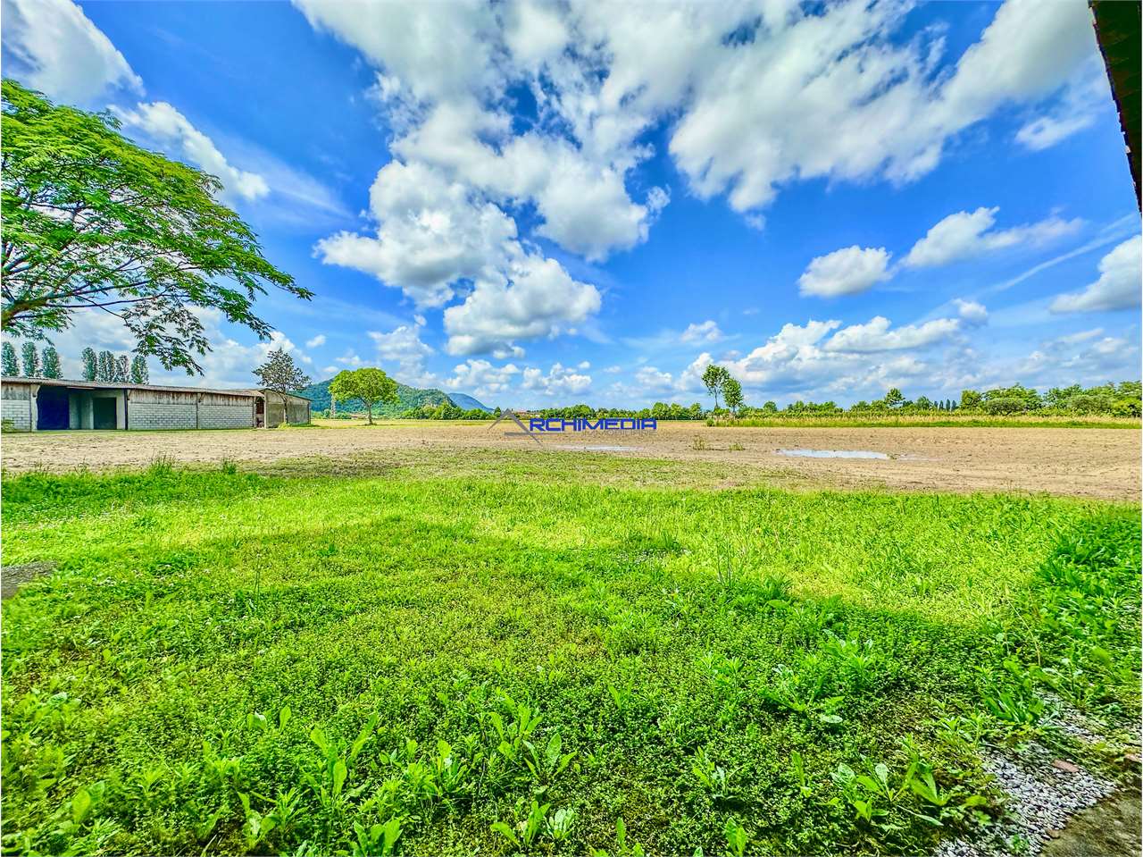 immagine annuncio 6 di 9