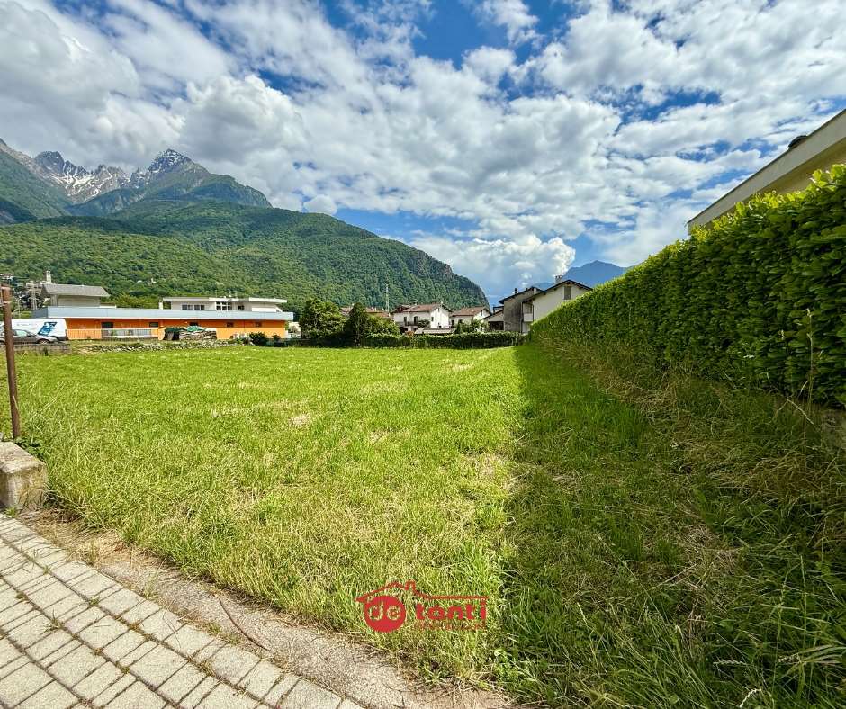 immagine annuncio 2 di 7