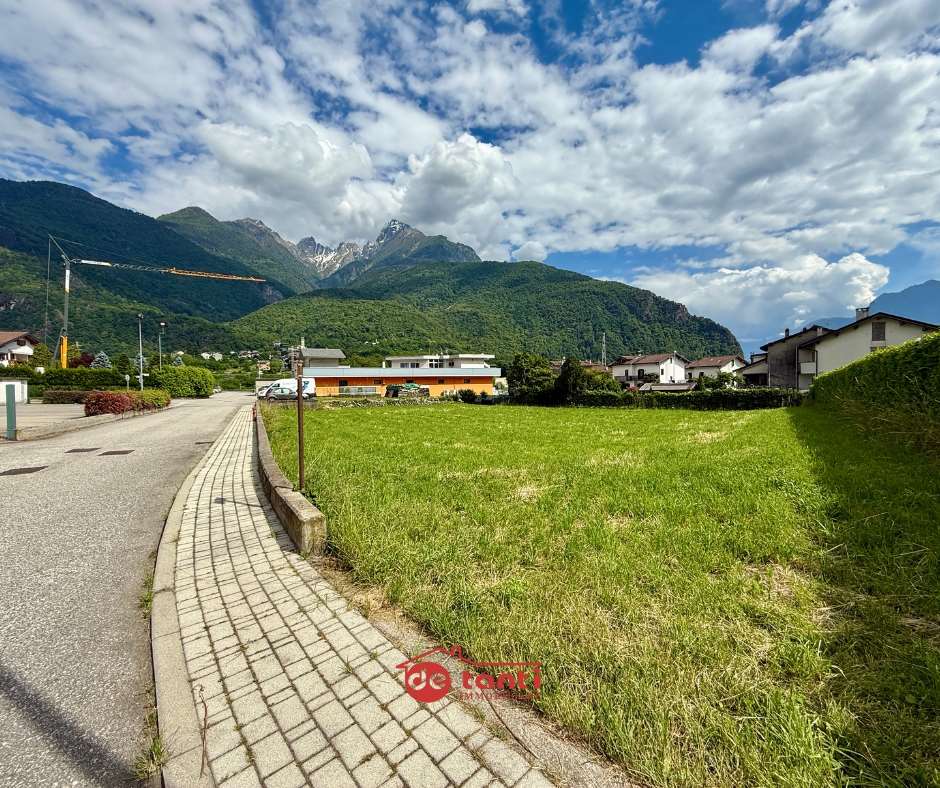 immagine annuncio 3 di 7