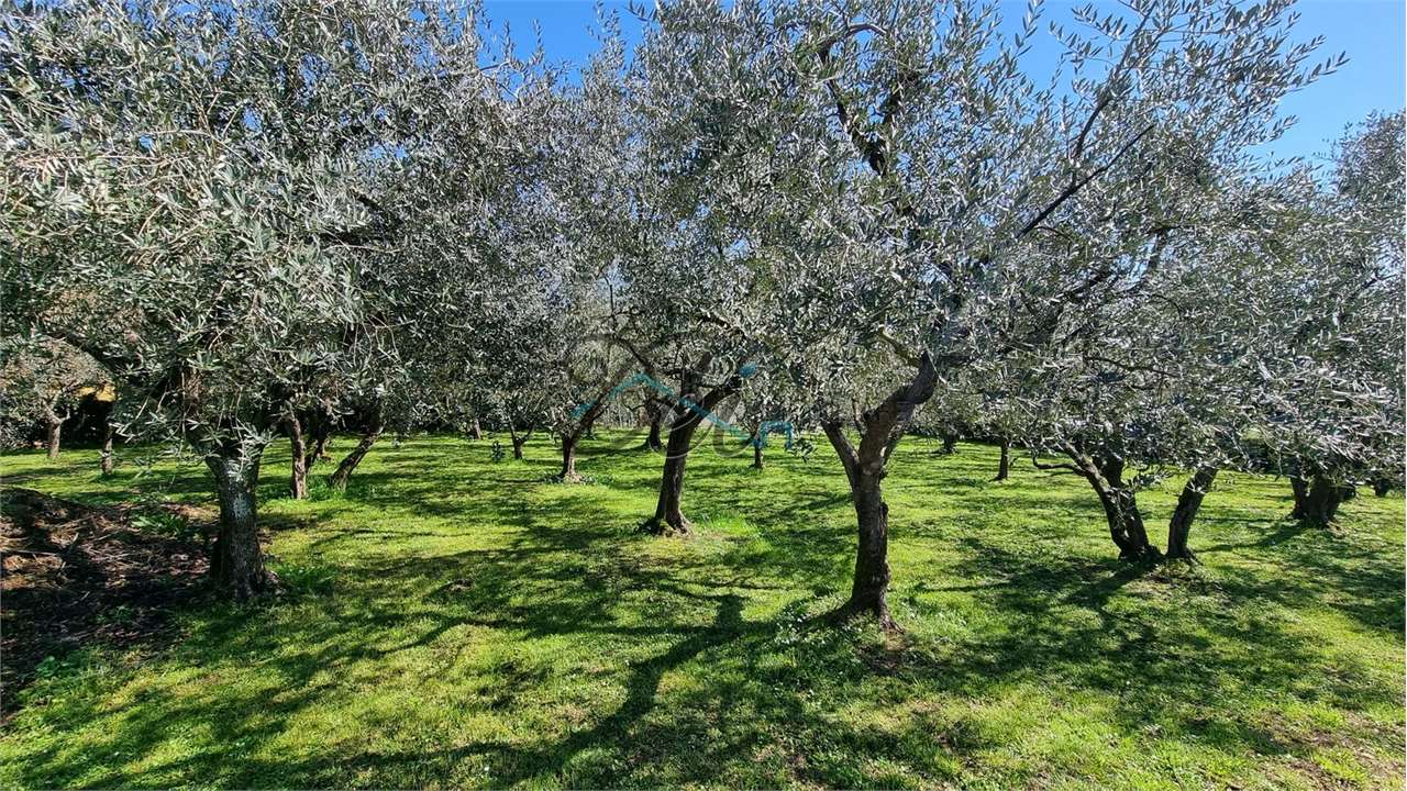 Villa in vendita a Capannori (LU)