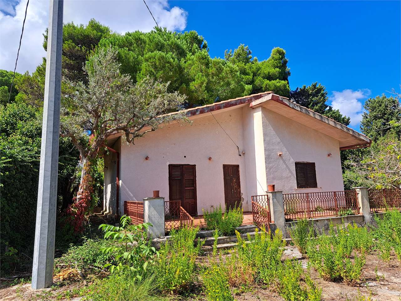 immagine annuncio 6 di 15