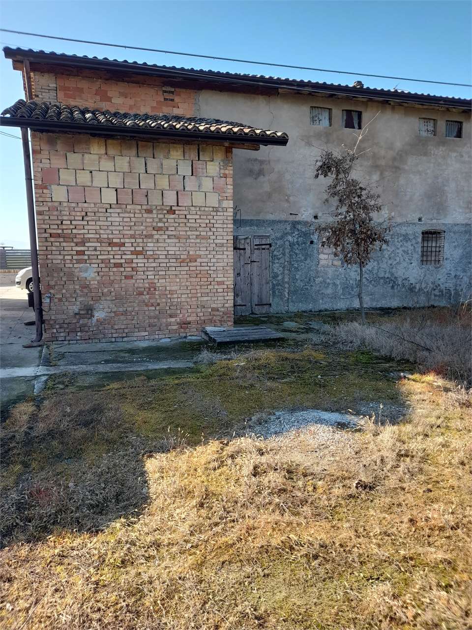 immagine annuncio 2 di 7