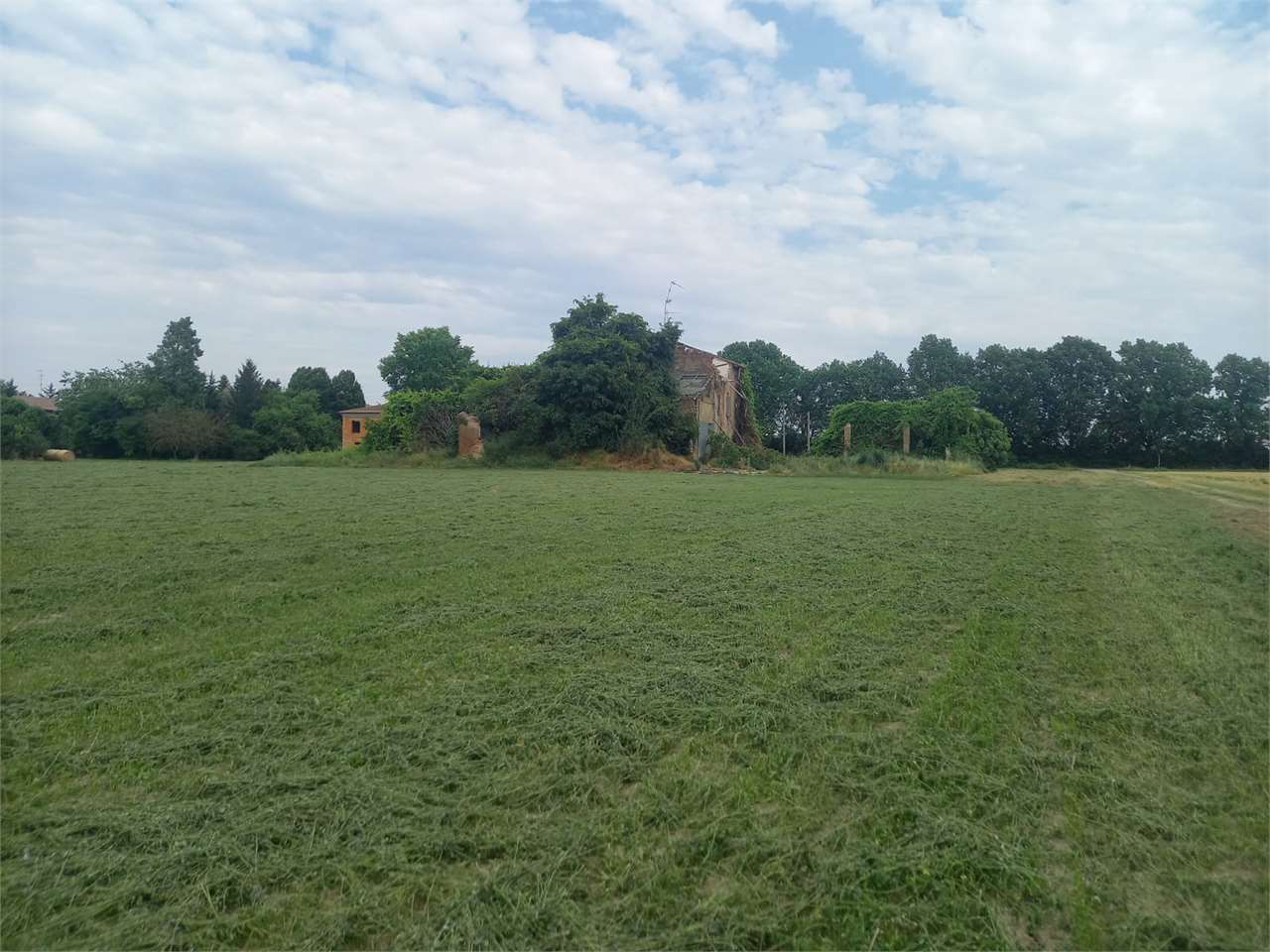 immagine annuncio 7 di 11
