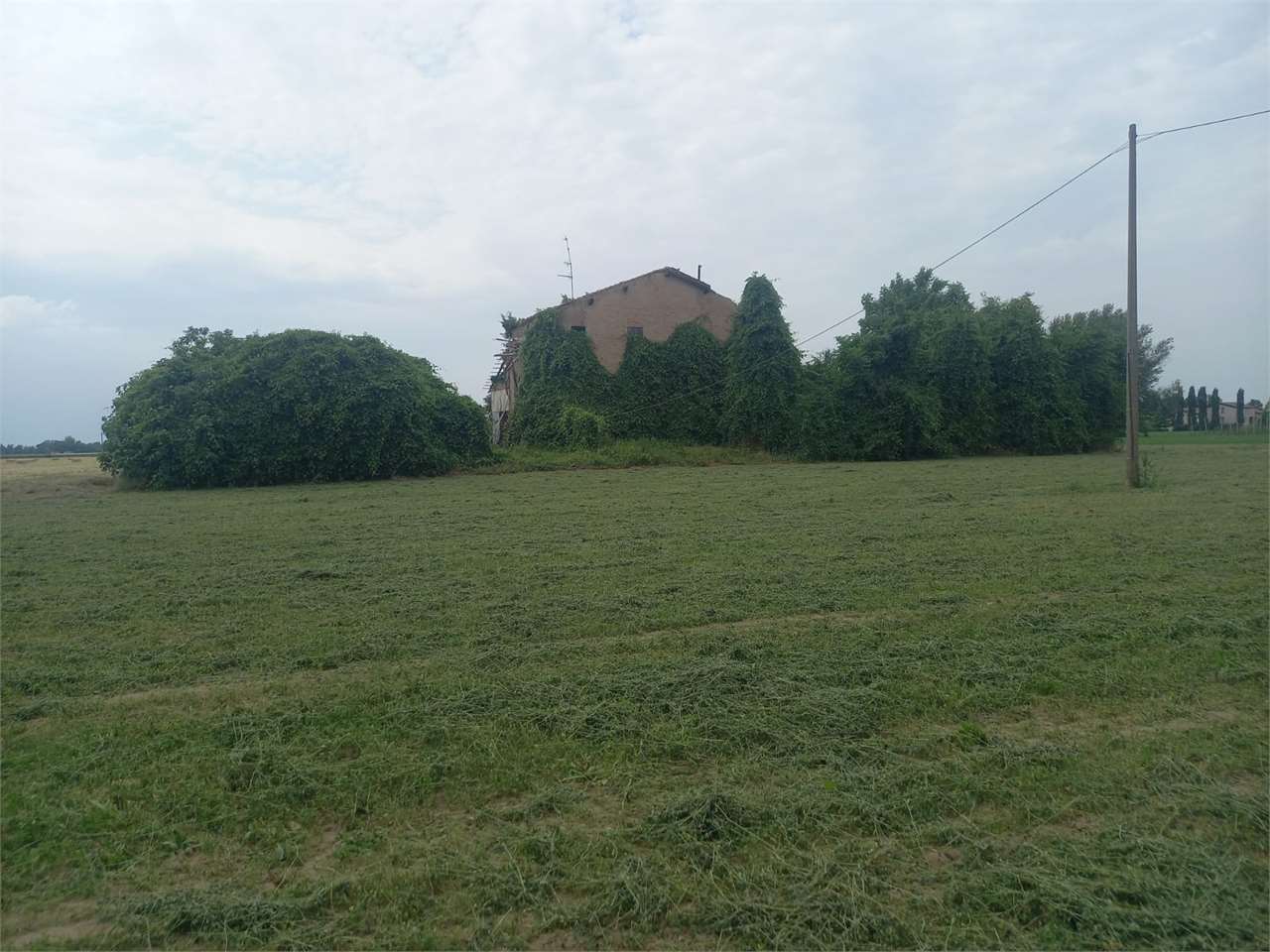 immagine annuncio 9 di 11